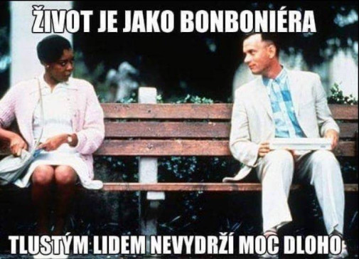 strucne, jasne, vystizne